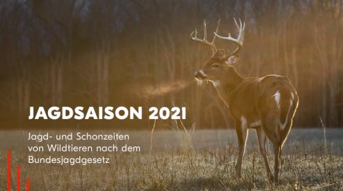 Jagdsaison 2021 - Jagd- und Schonzeiten von Wildtieren nach dem Bundesjagdgesetz 