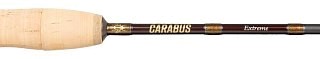 Rute Abu Garcia Carabus Extreme CEX-622 LS | Huntworld.de