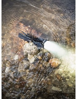Armytek Taschenlampe Dobermann Pro Magnet USB  Warm  | Huntworld.de