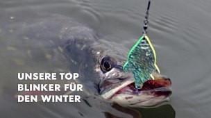 Unsere Top Blinker für den Winter