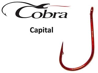 Haken Cobra Capital 010 | Huntworld.de